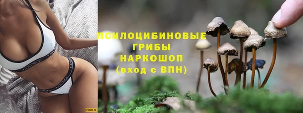 прущий лед Балахна