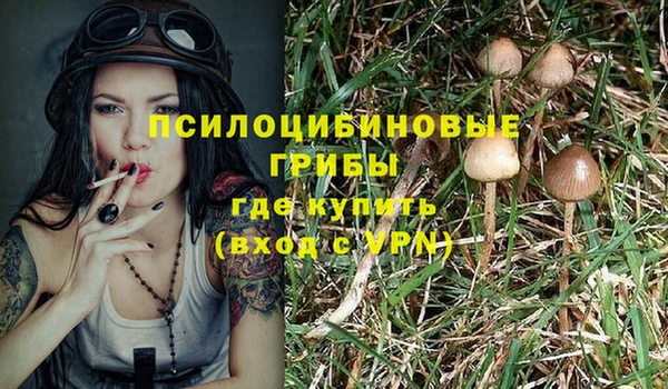 прущий лед Балахна